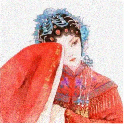 读者半岛观察头像